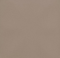 Линолеум Forbo Eternal Colour 40062 umber фото 1 | FLOORDEALER